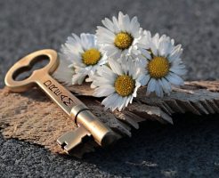 鍵と花